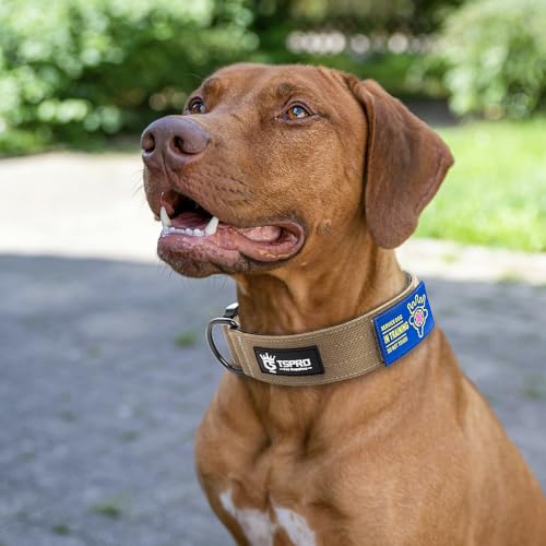 TSPRO Premium Dog Collars Tactical Dog Collar with Patch and Heavy Duty Quick-Release Metal Buckle Durable Thick and Adjustable for Medium to Large Dogs (Khaki M) - color: Basic Khaki, size: Patch-Equipped M (15"-18" Adjustable)
