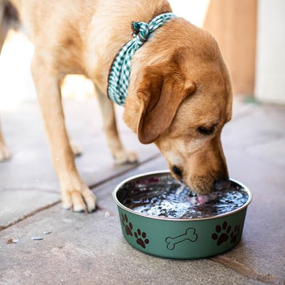 Loving Pets Bella Dog Bowls- Stainless Steel Dog & Cat Bowls - Spill Proof Dog Food Bowl, Cat Bowl, Puppy Essentials & Pet Supplies Great for Home & Travel (Medium 20-35 lbs, Artichoke) - color: Artichoke, size: Medium (20-35lbs)