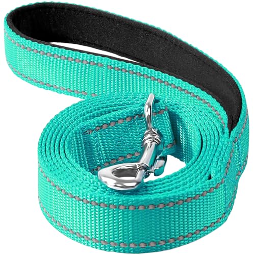 Reflective Dog Leash 4ft Soft Padded Handle Nylon Lead for Small & Medium Dogs, Durable Walking Training Leash for Night Safety (Turquoise,1Inch Wide) - color: Turquoise, size: 1"*4'