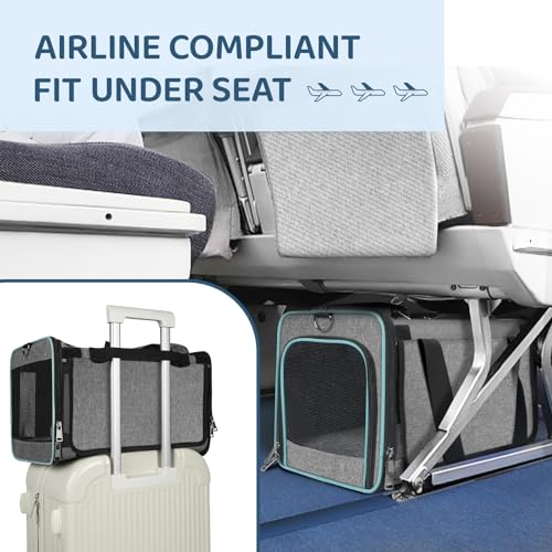 GAPZER Soft-Sided Pet Carrier for Air Travel 18x11x11 Inch - Underseat Cabin Carry Bag for Small Cats & Dogs Under 15 lbs - size: 18"x11"x11"