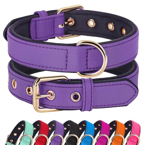 Didog Soft Padded Dog Collars for Medium Dogs, Lightweight and Breathable Purple Dog Collar with Metal Buckle, Purple, L - color: Purple, size: L: Fit 13-17" Neck