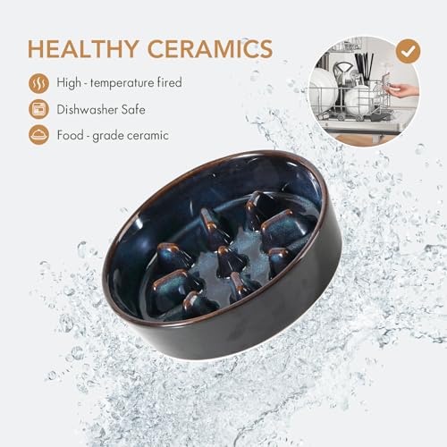 Havniva 1.2 Cup Elevated Slow Feeder Dog Bowls, 7.3” Dog Slow Feeding Bowls + 6.1” Ceramic Dog Water Bowls Set with Acacia Wood Stand, Dog Food Bowls Puzzle Feeder for Small Dogs Non-Slip Anti-choking - color: 2 x Starry Sky + Stand - C, size: M- 7.3inch