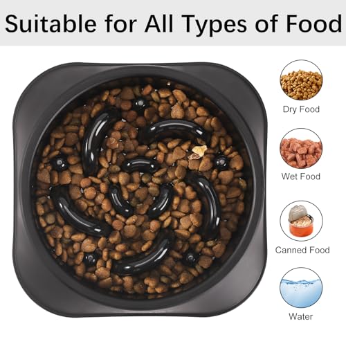 MateeyLife Slow Feeder Dog Bowls, Anti-Choking Puzzle Dog Food Bowls, Anti-Slip Interactive Feeding Slow Down Eating, Bloat Stop Maze Dishes for Medium Large Breeds Black - color: H-Black, size: Medium