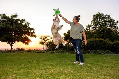 Chuckit! Flying Glow Squirrel Fetch Dog Toy, (10.5 Inch Length), Glow in the Dark Dog Toy, Pack of 1, Size Medium, for All Breeds and Sizes - style: Flying Glow Squirrel