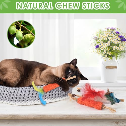 TINDTOP Cat Chew Toys, 6 Pack Silvervine Chew Sticks for Kittens Teeth Cleaning, Matatabi Dental Care, Increase Appetite, Aggressive Chewers Cat Dental Toy - color: 6 Pack