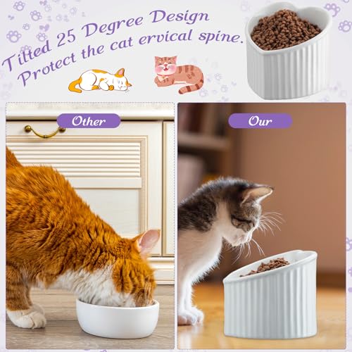 Mumufy 2 Pcs Ceramic Elevated Cat Bowls Tilted Elevated Raised Pet Bowls Anti Vomit Cat Dish for Indoor Stress Free Water Dish Feeder for Puppies, Heart Shaped(White, Purple) - color: White, Purple