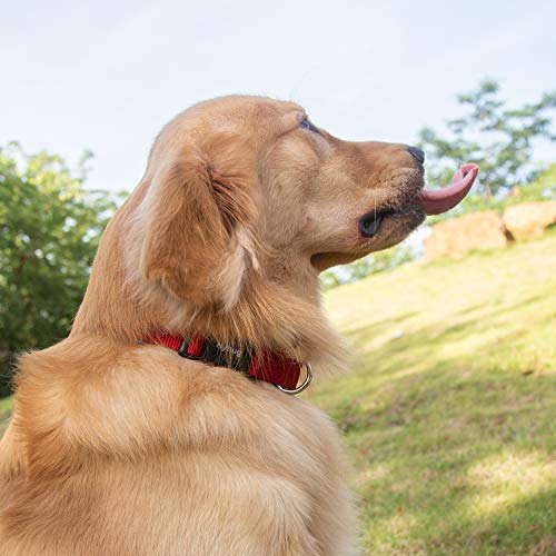 Small Dog Collar Quick-Release Red| Heavy-Duty Nylon Puppy Collar, Adjustable & Durable Pet Supplies for Boy & Girl Dogs (Small, Red) - color: Red, size: Small