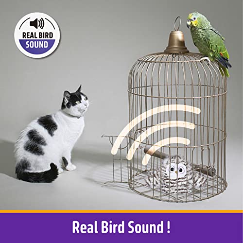 Kimee Interactive Cat Toy Rechargeable Automatic Chirping Owl Kitten Toy with Catnip, Auto Beating Wings Flying Bird Cat Toys for Indoor Cats to Play Alone, Never Boredom