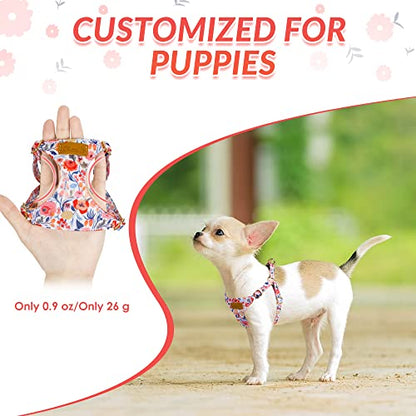 Lukovee Puppy Harness and Leash Set, No Pull Lightweight Soft Suede Adjustable Pet Harness Vest with Snap Buckle for Puppy Small and Medium Size Dog (Flower-XXS) - color: Flower, size: XX-Small ( 2.2-6lb )