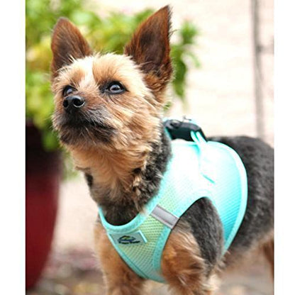 American River Dog Harness Ombre Collection (XS, Aruba Blue) - color: Aruba Blue, size: X-Small