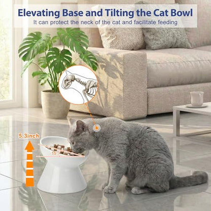 Ceramic Slow Feeder Cat Bowl, 2 Cups Tilted Elevated Cat Slow Feeder Bowl for Dry and Wet Food, Honeycomb Design for Preventing Vomiting & Bloating (White-Honeycomb) - color: White-Honeycomb