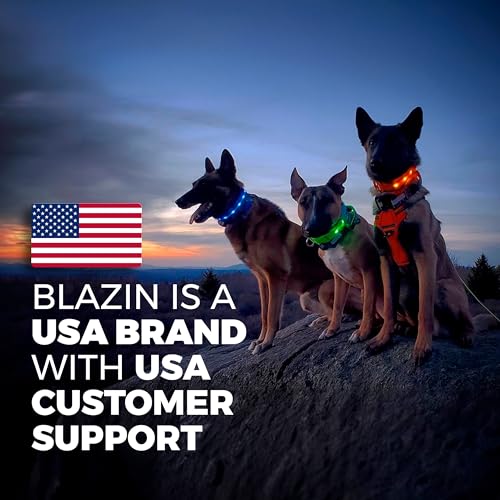BLAZIN Light Up Dog Leash LED - 1,000 Feet of Visibility - USB Rechargeable Waterproof Glow in The Dark Dog Leash - 6 Foot, Black