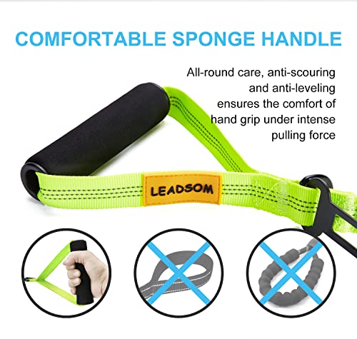 6FT Highly Reflective Heavy Duty Elastic Bungee Medium and Large Dog Leash Shock Absorbing with Comfortable Padded Handle and Traffic Handle Suitable for Training - color: Green
