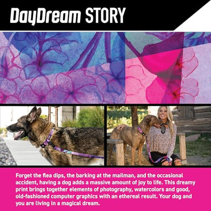 Wolfgang Heavy Duty Martingale Dog Collar with Quick Release Nylon Buckle for Walking & Training, Daydream Print, Large - color: DayDream Print, size: Large (1 Inch x 18-22 Inch)