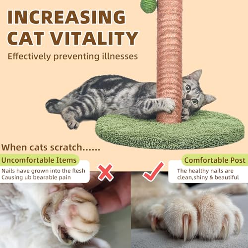 Meowoou Cat Scratching Post 33 Inch Tall Cat Scratcher for Indoor Cats Adults,Small Cat Tree Tower Sisal Rope Kitten Scratch with Interactive Hanging Ball - size: 33 in Green