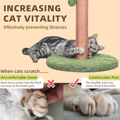 Meowoou Cat Scratching Post 33 Inch Tall Cat Scratcher for Indoor Cats Adults,Small Cat Tree Tower Sisal Rope Kitten Scratch with Interactive Hanging Ball - size: 33 in Green
