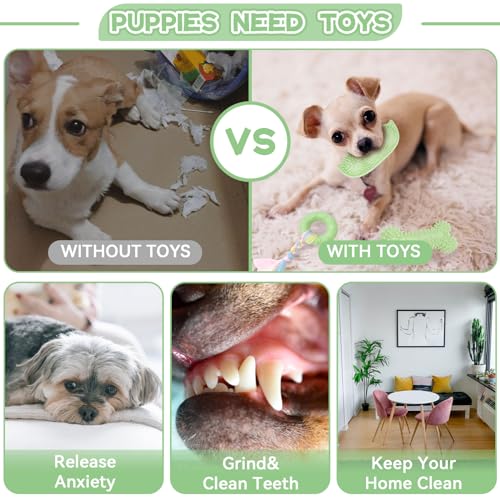 Petcare 6 Pack Small Dog Toys for Small Breed, Cute Green Puppy Teething Toys, Rubber Chew Toys, Essentials to Keep Them Busy, Best Pet Birthday Dog Toys - color: Green