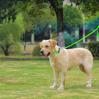 Waterproof Dog Collar, Easy to Clean Rubber Dog Collars with Quick Release Buckle Fits Small Medium or Large Dogs (Green, S (9.5-14.1 inch)) - color: Green, size: S (9.5-14.1 inch)
