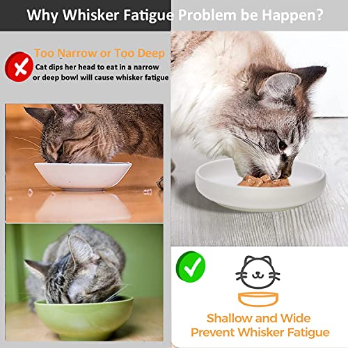 Ceramic Cat Bowls,Shallow Cat Dishes for Food and Water, 6 inch Matte Finish Wide Cat Food Bowl,Whisker Fatigue Free Pet Puppy Kitten Bowl Set of 3,Dishwasher Safe - color: White-3pack