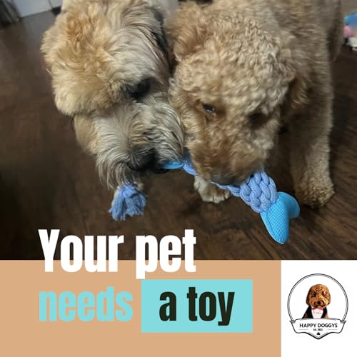 Fish Dog Toy with Rope - Fun for Some Small, Medium, and Large Breeds - Squeaky Playtime by HappyDoggys