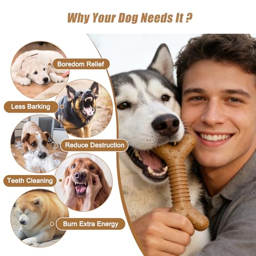 Dog Chew Toys for Aggressive Chewers, 3 Pack Nylon & Wood Teething Bone Toy Set with Chicken Flavor, Durable Tough Bones Chewing Toys for Medium & Large Dogs - style: 3Pack-Large