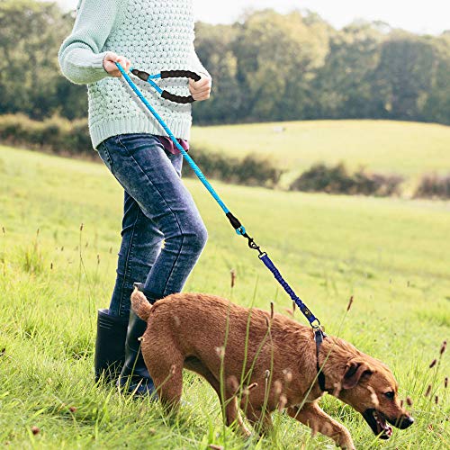 Bungee Leash Extension Attachment, 18" Shock Absorbing Lead Extension Absorber, Prevent Injury on Arm and Shoulder & Save Dogs from Getting Hurt, Great for Bicycle, Running, Walking,Blue - color: Blue