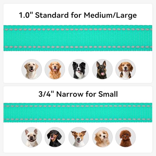 Joytale Dog Leash, 6 FT Double-Sided Reflective, Padded Handle Nylon Heavy Duty Leashes for Medium & Large Dogs Walking, Teal - color: Teal, size: 6 ft Standard