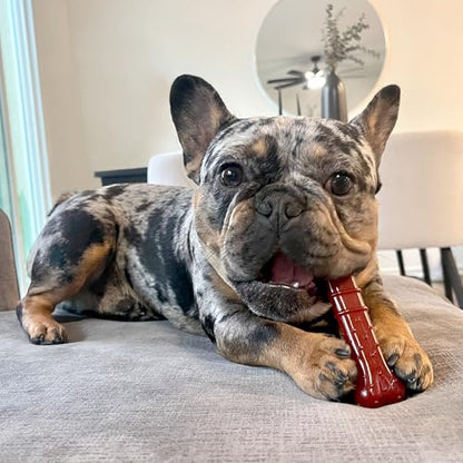 Nylabone Textured Bone Power Chew Toy for Dogs, Durable & Tough Dog Toys for Aggressive Chewers, Basted Blast Bacon & Steak Flavor, Medium Dogs - Up to 35 lbs, 1 Count - size: Medium