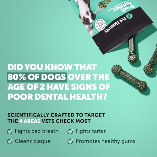 Pet Honesty Brush Buddies All Natural Dog Dental Treats for Dogs – Long Lasting Dental Sticks for Dogs, Teeth Cleaner, Breath Freshener, Plaque & Tartar Remover – Medium Sized Dogs (15 Count) - size: Medium Dog - 15 Count