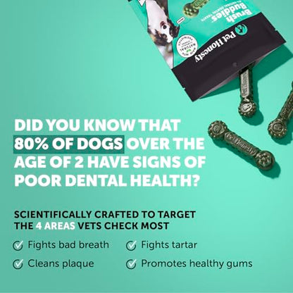 Pet Honesty Brush Buddies All Natural Dog Dental Treats for Dogs – Long Lasting Dental Sticks for Dogs, Teeth Cleaner, Breath Freshener, Plaque & Tartar Remover – Medium Sized Dogs (15 Count) - size: Medium Dog - 15 Count