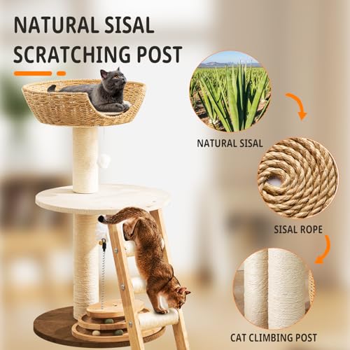 Natural Wood Modern Cat Tree with Top Cats Bed, Unique Cute Cats Furniture Activity Centre with Sisal Rope Scratching Posts, Cats Tower Condo with Interactive Cat Toy Tree - color: SCT004 new-1