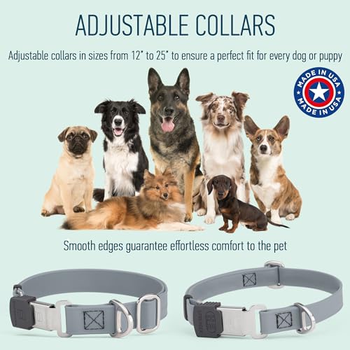 Biothane Waterproof Durable Dog Collar with Herm Sprenger - Quick Release ClicLock Buckle - Fits Medium and Large Dogs - Made in USA (Battleship Gray, W 3/4" x L 12"-19") - color: Battleship Gray, size: W 3/4" x L 12"-19"