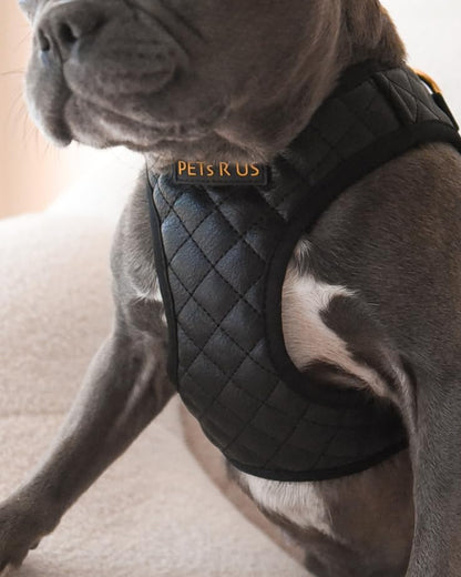 Step in Dog Cat Harness Lightweight Breathable Mesh Soft Padded Pet Vest Vegan Leather Choke Free Escape Proof for Small Medium Dogs (Black, Small) - color: Black, size: Small: Neck=9.4-11.4''/Chest=14.5-17''