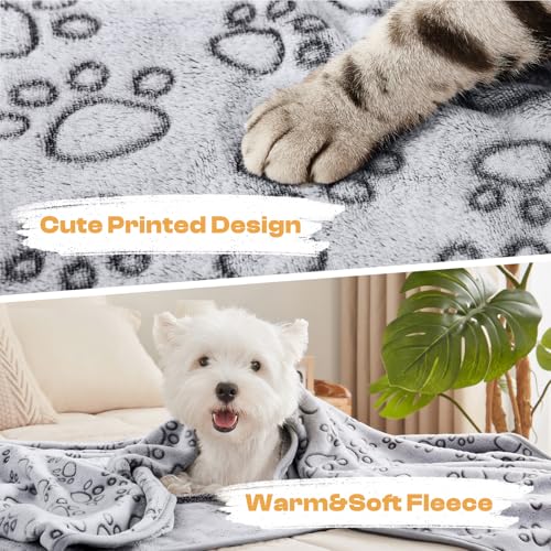 Luciphia 1 Pack 3 Blankets Fluffy Premium Fleece Pet Blanket Flannel Paw Printed Throw for Dog Cat Grey Paw Small(23"x16",Pack of 3) - color: Grey-paw Line, size: 23x16 inch (Pack of 3)