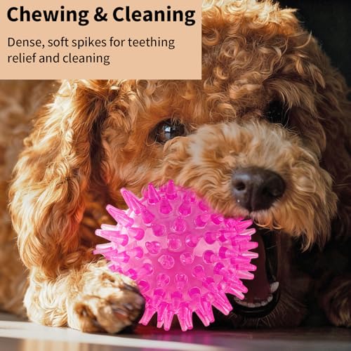 6 Pack Squeaky Spiky Dog Balls, Puppy Chew Toys for Teething, Food-Grade TPR Rubber Durable, Interactive Fetch Floating Dog Pool Ball Toy for Chewers for Small Medium (Small) - size: Small