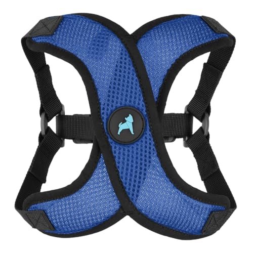 Gooby Comfort X Step in Lite Dog Harness - Choke Free, Escape Free with Light Breathable Mesh - Step in Dog Harness for Small and Medium Dogs - Quick Release Buckle, Metal D-Rings - Blue, Medium - color: Blue, size: Medium (16-20")