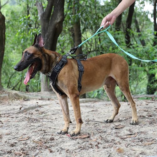 ICEFANG Relfective Dog Leash for Medium Large Dogs,K9 Training Walking Lead with Double Handle,Heavy Duty Auto-Lock Metal Clasp (6ft, Teal) - color: Teal, size: 6 ft (No bungee)