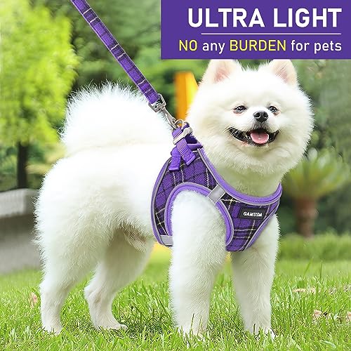 Small Dog Harness Collar and Leash Set, Step in No Chock No Pull Soft Mesh Adjustable Dog Vest Harnesses Plaid Reflective for Dogs Puppy Cats Kitten Rabbit (Purple, XXS) - color: Purple, size: XXS