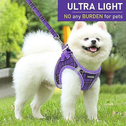 Small Dog Harness Collar and Leash Set, Step in No Chock No Pull Soft Mesh Adjustable Dog Vest Harnesses Plaid Reflective for Dogs Puppy Cats Kitten Rabbit (Purple, XS) - color: Purple, size: XS