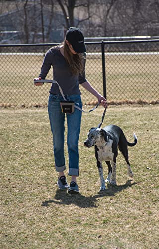 OllyDog Goodie Treat Bag, Dog Treat Pouch, Waist Belt Clip for Hands-Free Training, Magnetic Closure, Dog Training and Behavior Aids, Three Ways to Wear (Petals) - color: Petals