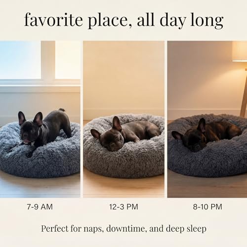 Small Calming Dogs Bed for Small Dogs Anti-Anxiety Machine Washable Fluffy Luxury Anti-Slip Waterproof Mute Base Warming Cozy Soft Pet Puppy Round Bed - color: Dark grey, size: 19 inches