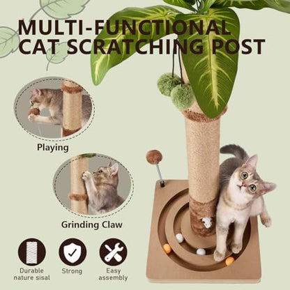 MECOOL 35in Tall Cat Scratching Post Sturdy and Premium Scratch Posts with Hanging Ball and Ball Track Cute Cat Tree for Indoor Cats - size: 35 inches for Adult cats