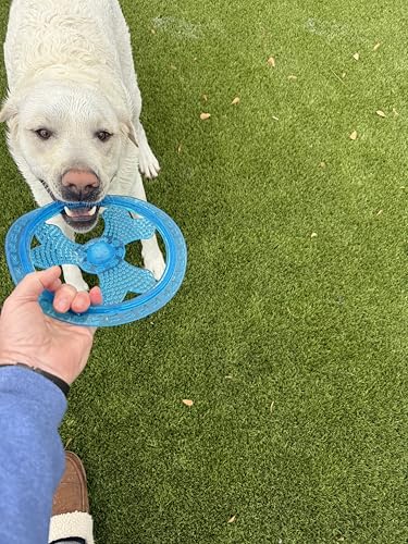 Rudy’s Favorite TPR Flying Disc w/Center Ball - Dog Frisbee - Floats, Flies Far for Fetch Freaks, Pool Splashers & Backyard Maniacs- Dog Toys for Aggressive chewers, chew Toys & Pool Toys