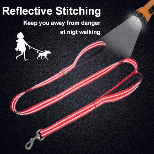 Dual Padded Handle Standard Dog Leashes with Reflective Stitching,360° Rotatable Heavy Duty Metal Buckle,D-Ring,Durable Nylon,for Medium Sized Dogs from 20 to 60 Pounds Walking and Training Red, 5Ft - color: Red, size: 5Ft