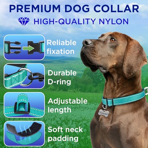TECEUM Reflective Dog Collar – Aquamarine – M – Extra Soft Padding – Basic Nylon Pet Collar – Quick Release Buckle – Fits Small, Medium and Large Dogs, Puppies, Cats – ESA & Service Dog Options - color: Aquamarine, size: Medium