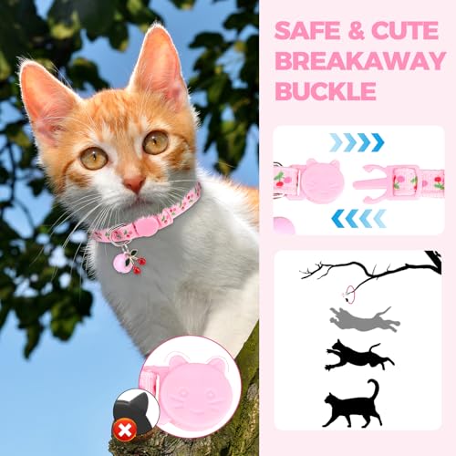BINGPET Breakaway Cat Collar with Bell, 3 Pack Cat Collars for Girl Cats, Cute Kitty Collars Accessories with Pineapple & Cherry & Strawberry - color: Fruit-3pcs