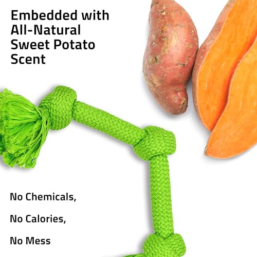 Playology Dog Toys | Dri-Tech Rope Toy Tug of War Rope for Aggressive Chewers | Jumbo Sweet Potato Scented Toy - Easy to Clean and Made from Non Toxic Materials - size: Jumbo, style: Sweet Potato