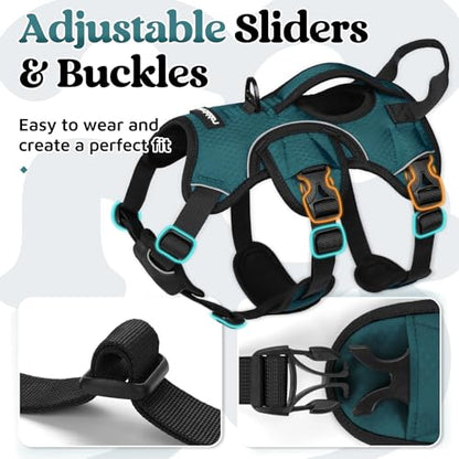 rabbitgoo Escape Proof Dog Harness Small Sized Dog, Soft Padded Full Body Pet Harness, Reflective Adjustable Vest with Lift Handle and Leash Clip for Walking Hiking Training, Dark Green, S - color: Dark Green, size: Small (Pack of 1)