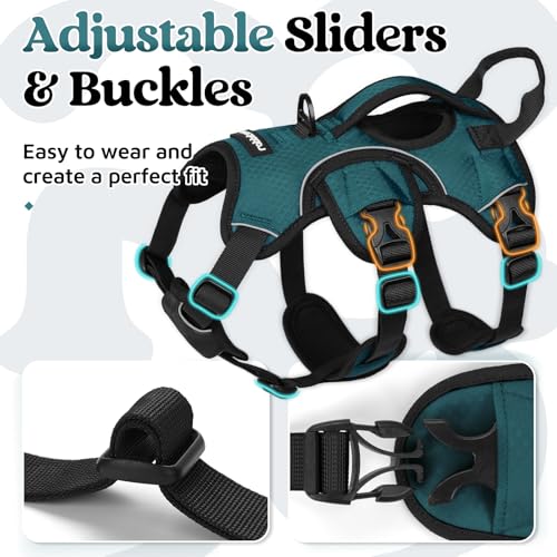 rabbitgoo Escape Proof Dog Harness Small Sized Dog, Soft Padded Full Body Pet Harness, Reflective Adjustable Vest with Lift Handle and Leash Clip for Walking Hiking Training, Dark Green, S - color: Dark Green, size: Small (Pack of 1)