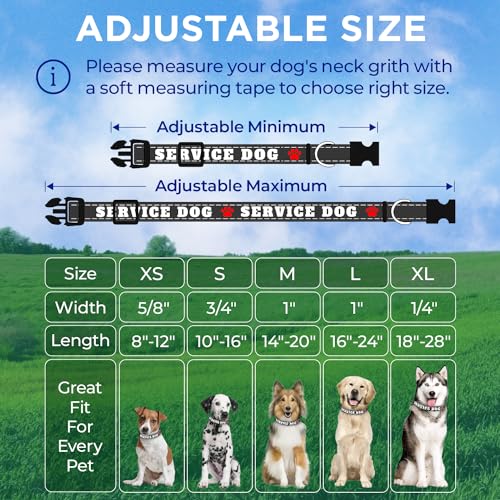 TECEUM Reflective Pet Collar – Black - Service Dog – M – Extra Soft Padding – Basic Nylon Dog Collar – Quick Release Buckle – Fits Small, Medium and Large Dogs, Puppies, Cats - color: Black - Service Dog, size: Medium